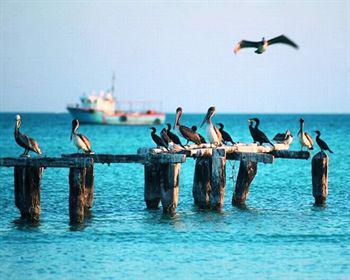 Готель Wayak Holbox Екстер'єр фото
